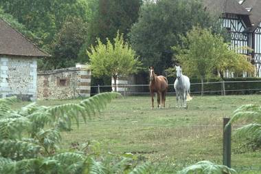 Château d'Argeronne "Le Pommier Doux"