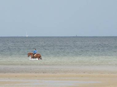 Gîte de La Ferme de La Cour