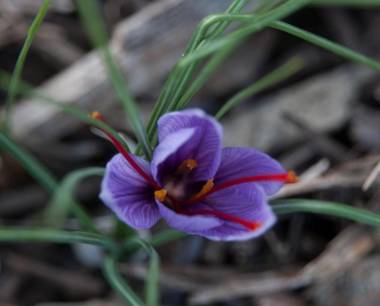 Chambres d'Hotes Au Vieux Logis