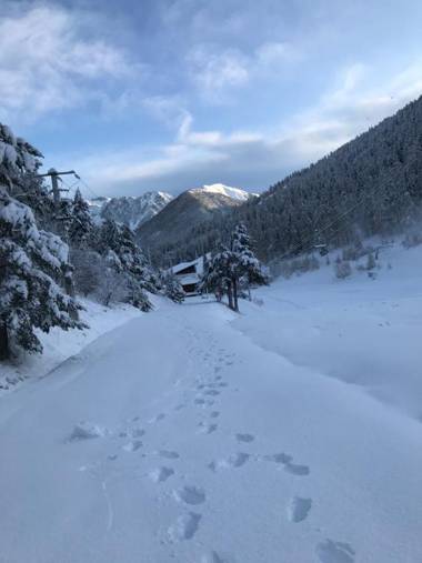 Hôtel Green Ecolodge