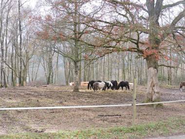 Domaine Du Bois du Loup