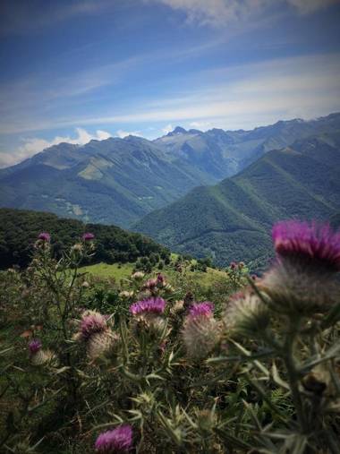 Au détour Du Larrech