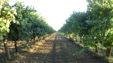La Fontenelle Chambres d'Hôtes