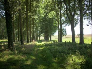 Lovely Holiday Home in Le Ponchel with Garden Pond