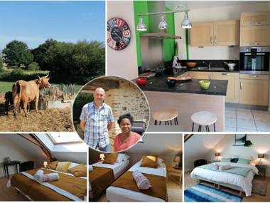 Gîte Cossé-le-Vivien 4 pièces 6 personnes - FR-1-600-143