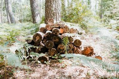 Tiny Stay - Ecolodge