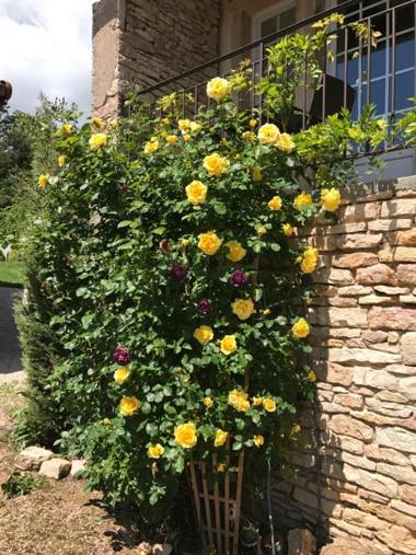 Gîtes L'Art d'une Pause