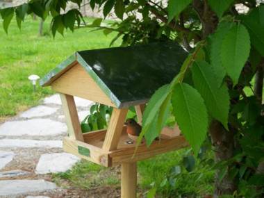 Gîte Bonchamp-lès-Laval 3 pièces 4 personnes - FR-1-600-47