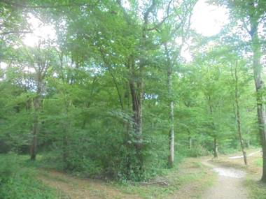 Gîtes de l'Orée du Bois