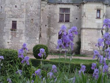 Chateau de Chémery