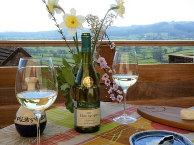 Cozy Holiday Home  in Joncy with Valley View