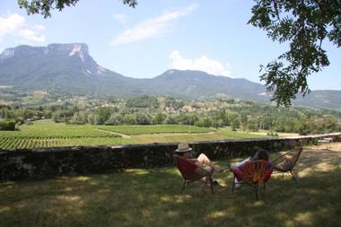 Château La Violette