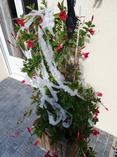 Gite de l'Aujon et Gîte du capitaine