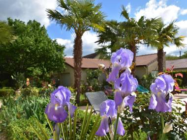 Comfortable holiday home outside Espère with private swimming pool and beautiful garden