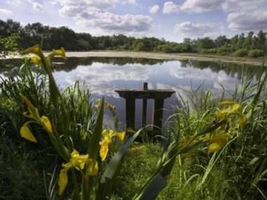 Appartement Vendœuvres 2 pièces 3 personnes - FR-1-591-133