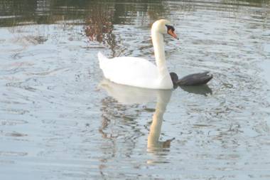 Chateau de La Semondiere