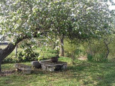 Gîte Le Chatelet 2 pièces 2 personnes - FR-1-586-9