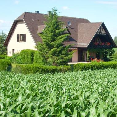 Appartement de 2 chambres avec jardin clos et wifi a Hochfelden