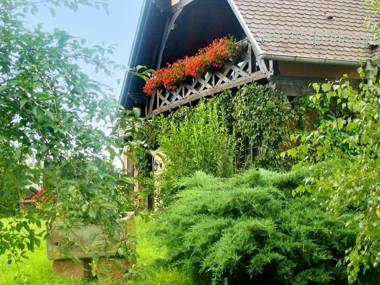 Appartement de 2 chambres avec jardin clos et wifi a Hochfelden