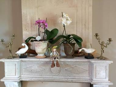 La Fauconnerie Du Roy