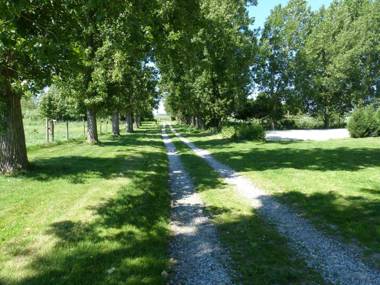 Paardenhof Guesthouse