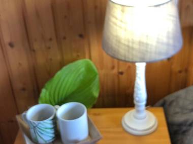 Gîte Rochesson 4 pièces 7 personnes - FR-1-589-195