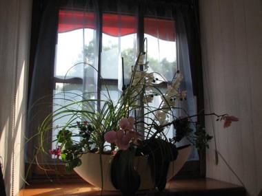 Le Pas de L'Ane Chambres d'hôtes