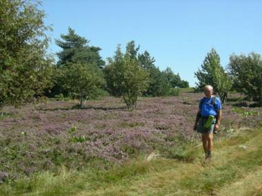Gîte Jeansagnière 4 pièces 6 personnes - FR-1-496-98