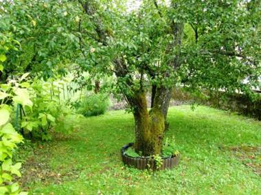 Maison de 3 chambres avec jardin clos et wifi a Charix