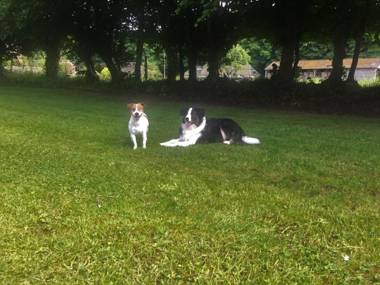Chambres d'Hôtes Aux Ecuries du Chateau