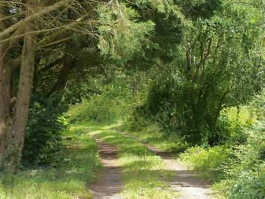 Holiday Home in Saint Laurent des Mortiers with Garden