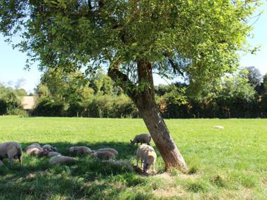Gîte Berfay 5 pièces 11 personnes - FR-1-410-157