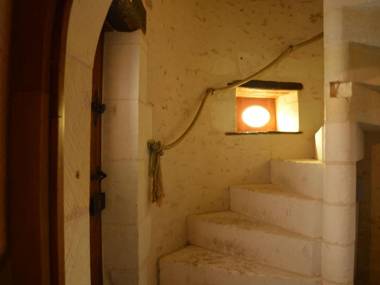 Wonderful atmospheric Manoir at Lencloître with large private swimming pool