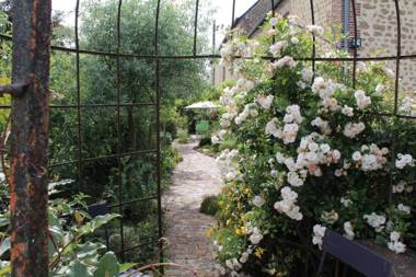 Au Jardin Des Violettes