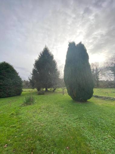 Les Chtis Bretons Chambres d hotes