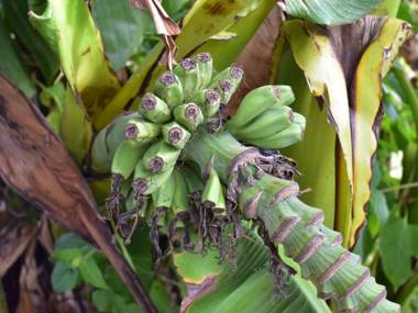 Beautiful holiday home with fine private swimming pool in the cultural surroundings of Cahors