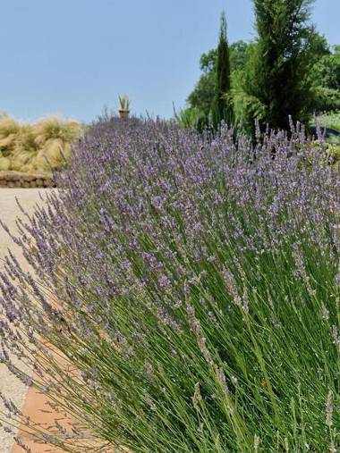 Barbarens Maison d'hotes