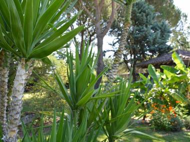 Gîte Gramont 3 pièces 4 personnes - FR-1-605-9