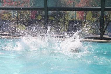 Emerald Coast Gites and Lodge