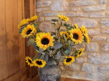 Beautiful Holiday Home with Pool in Saint Pompont