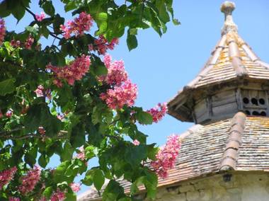 Domaine de L'Isle Basse