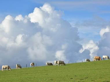 Gîte Sanghen 4 pièces 8 personnes - FR-1-376-73