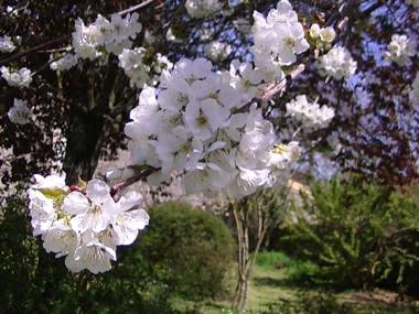 Domaine de l'Estuaire