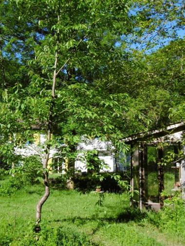 Maison de 3 chambres avec jardin amenage et wifi a Fougax et Barrineuf
