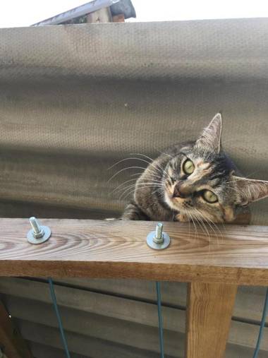 Grange d'Anjeux Bed & Breakfast