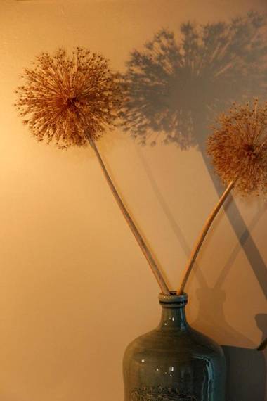 Chambres d’hôtes du Presbytère