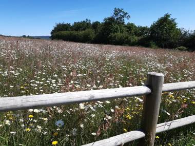Gîte Saint-Calais-du-Désert 4 pièces 6 personnes - FR-1-600-161