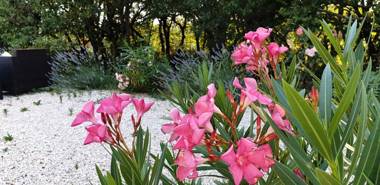 Le Clos du Grand Chêne