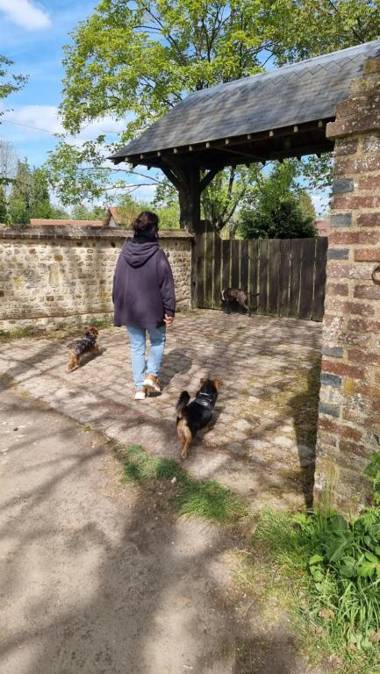 LA VILLA QUI A DU CHIEN