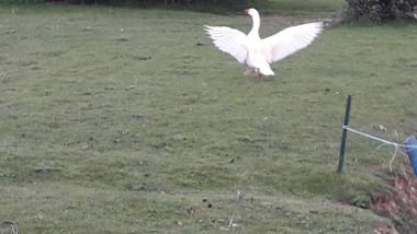 Chambre d'Hote La Bouliere